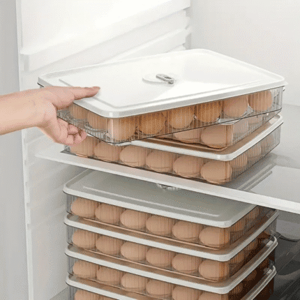 24-Grid Egg Holder with Lid