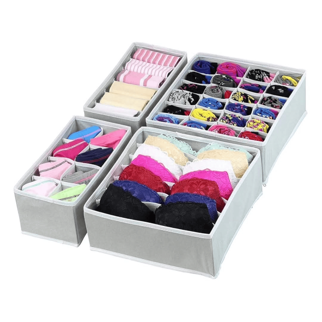 4-in-1 Undergarment Organizer