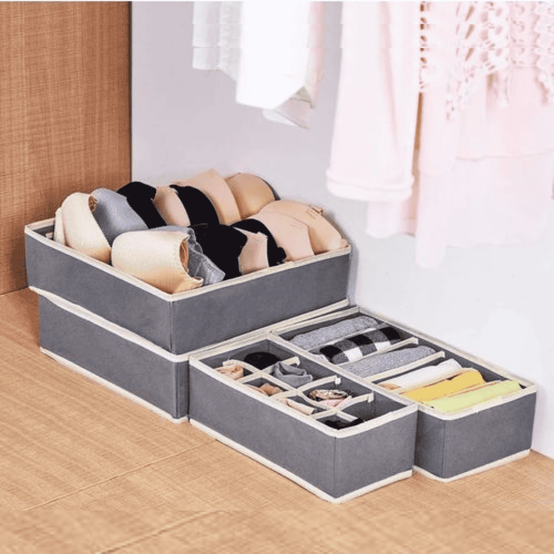 4-in-1 Undergarment Organizer