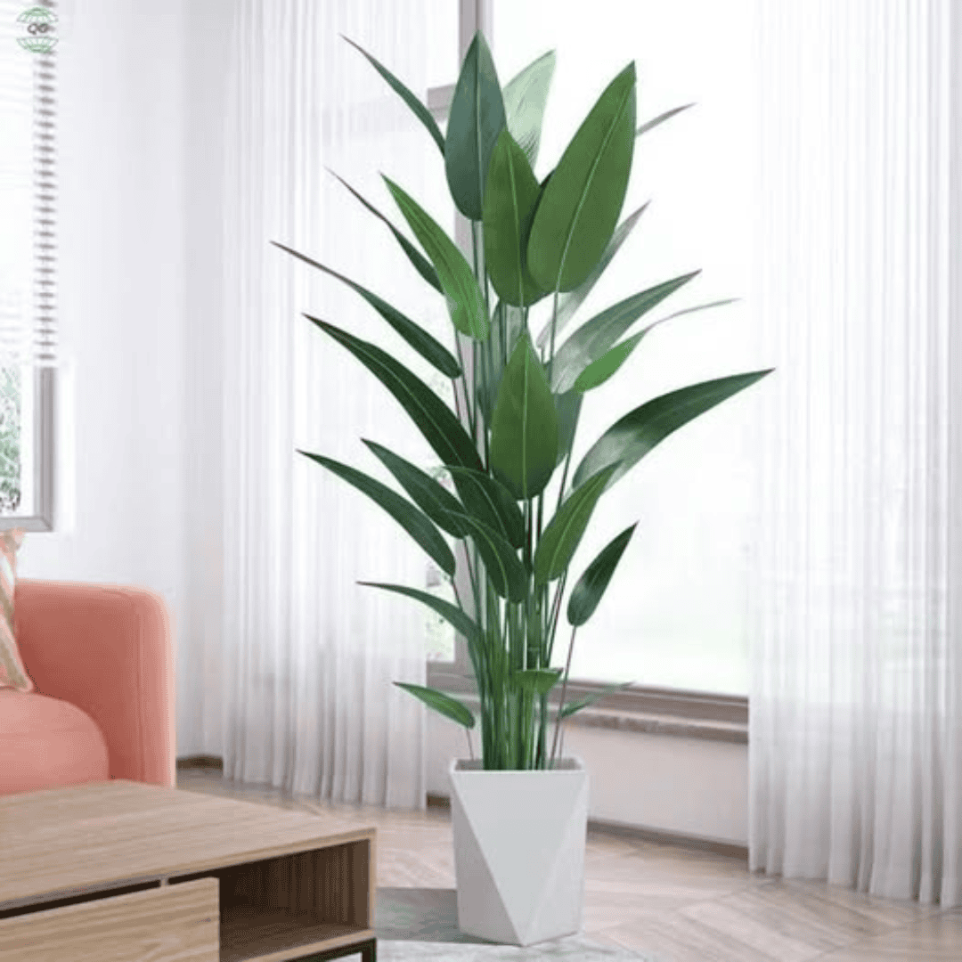 Real Touch Strelitzia Plant