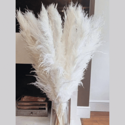 15pcs Dried Pampas Grass