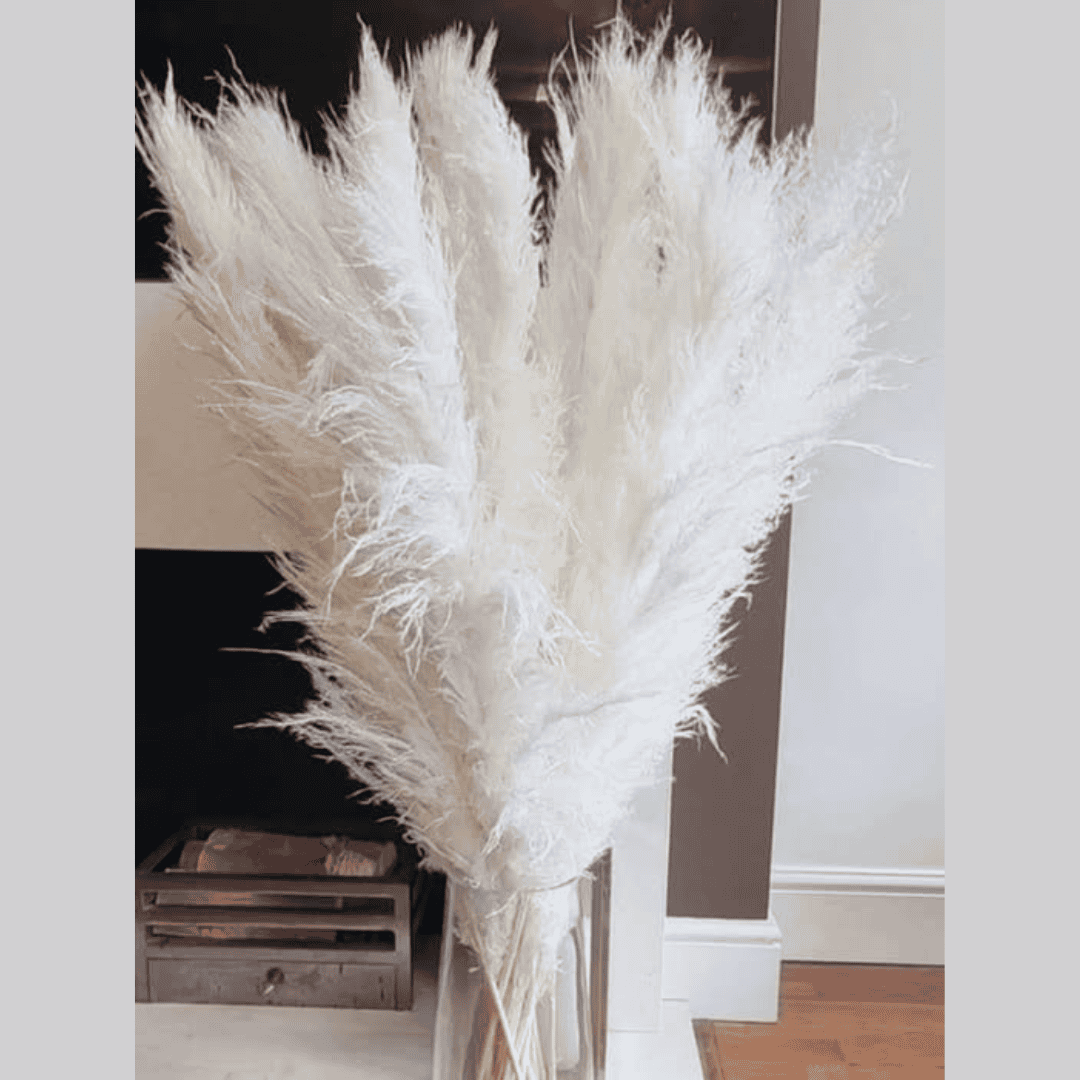 15pcs Dried Pampas Grass