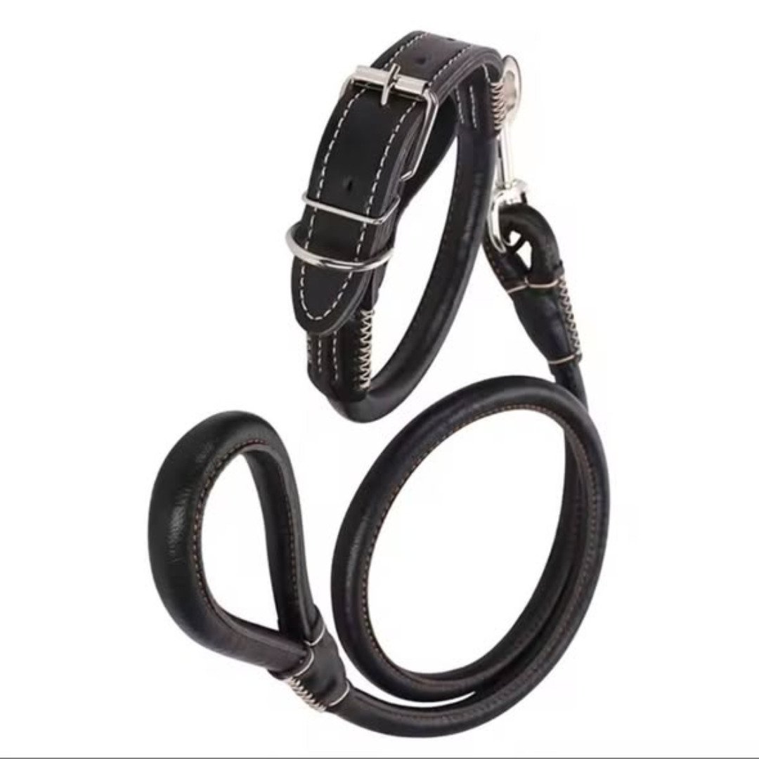 Easy grip rolled up leather dog collar and leash