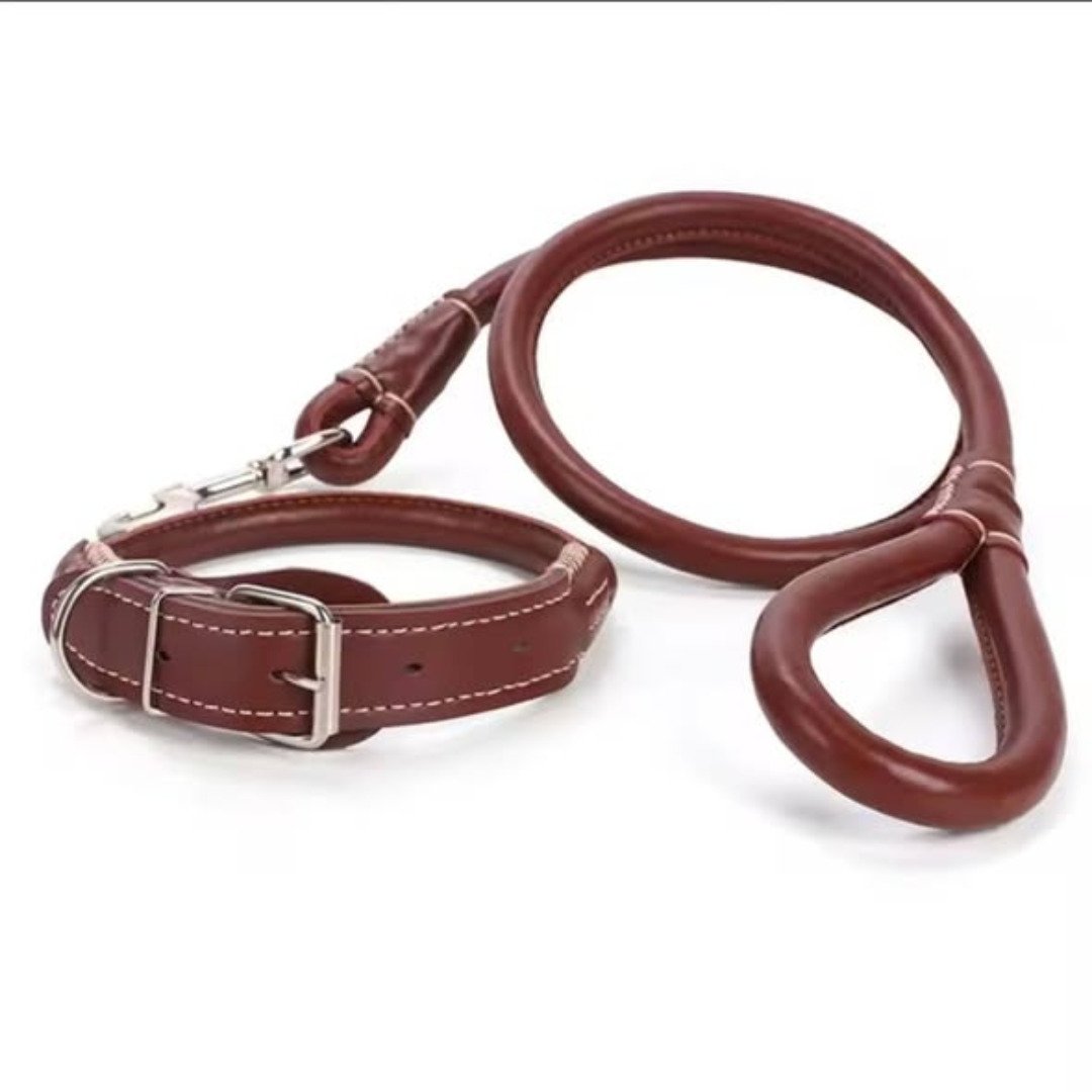 Easy grip rolled up leather dog collar and leash