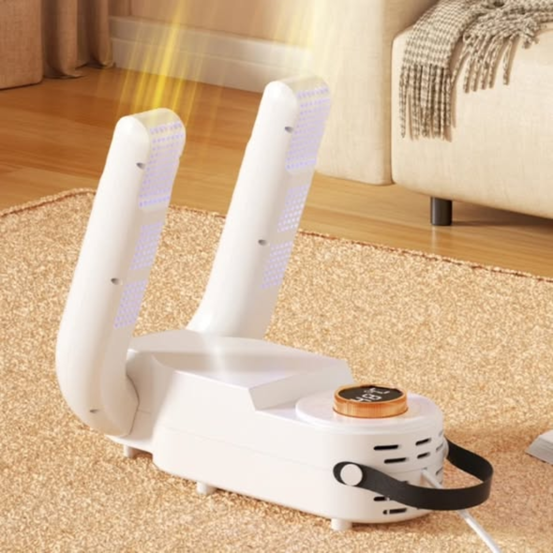 Modern electric shoe drier
