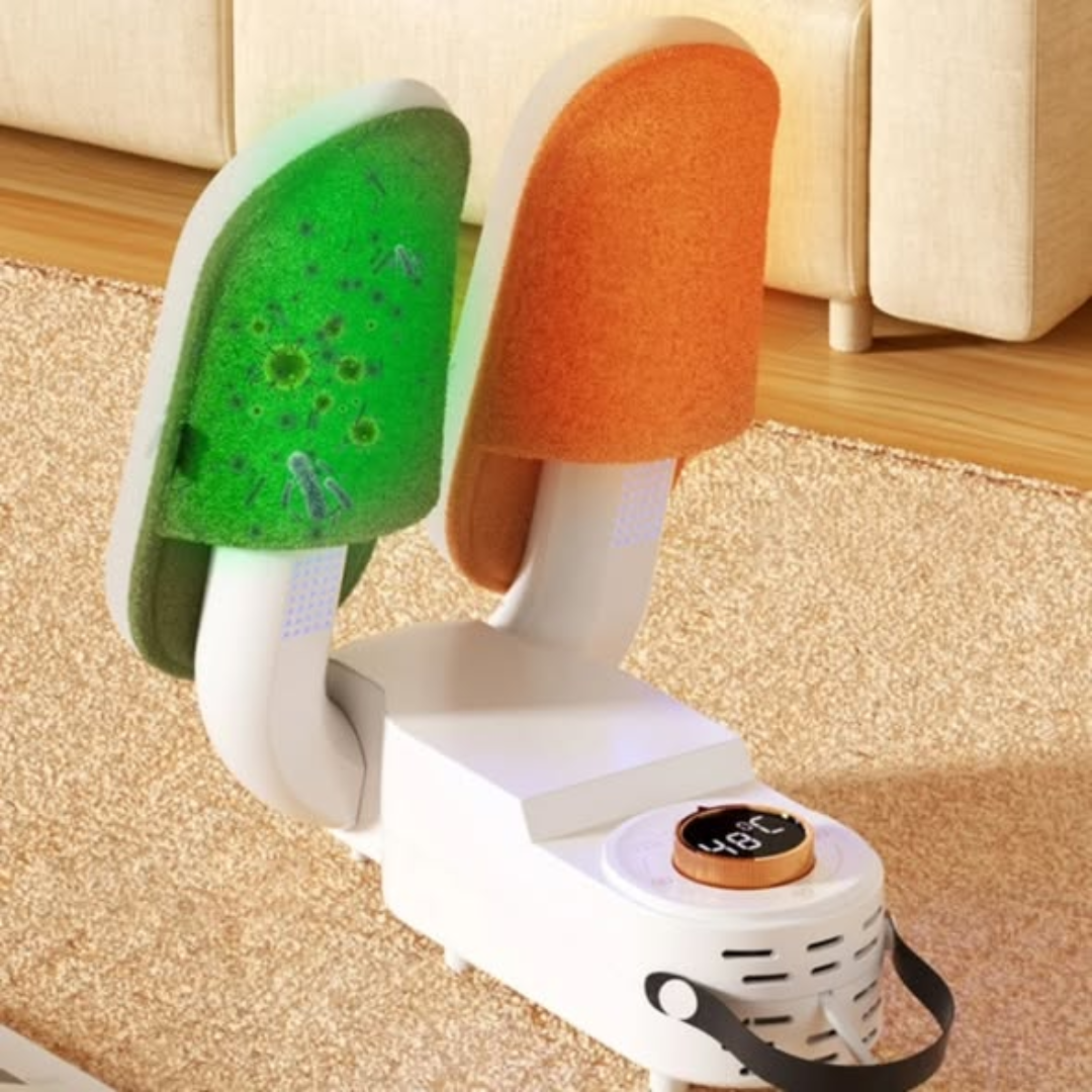 Modern electric shoe drier